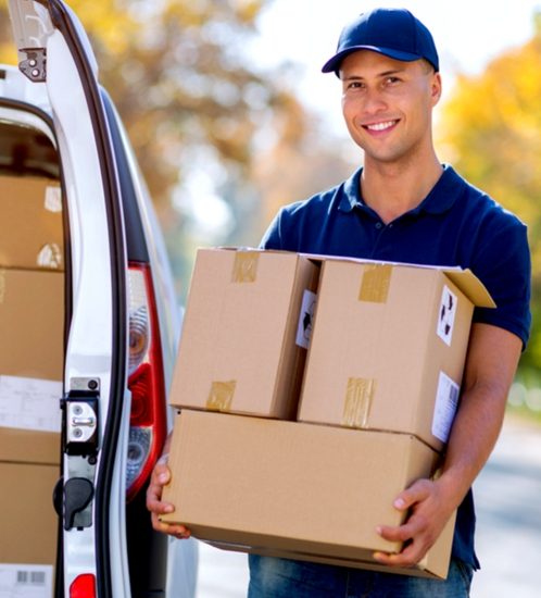 delivery guy delivery guy